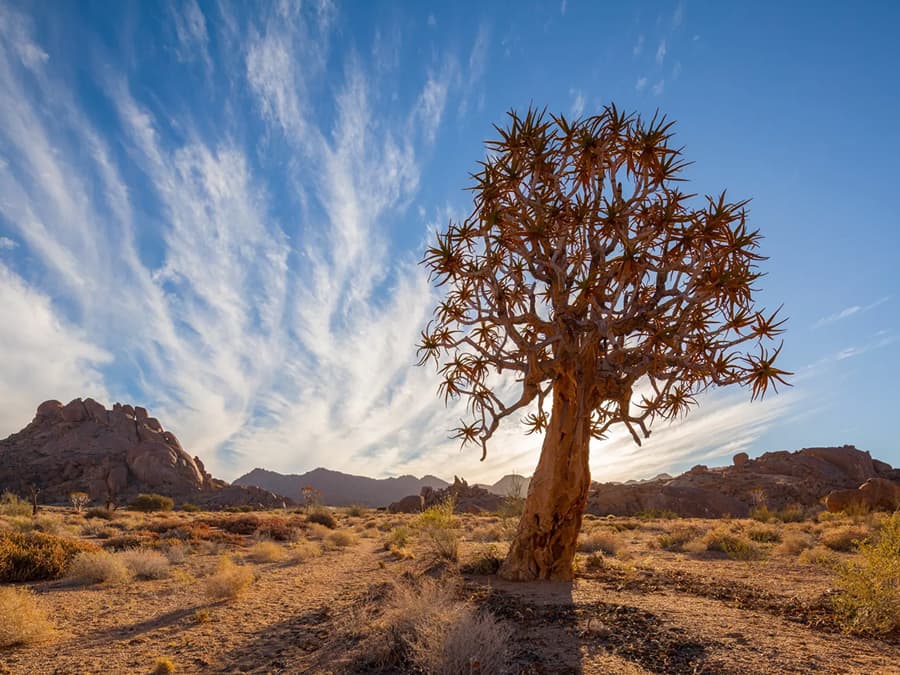Northern-Cape-richtersveld-national-park