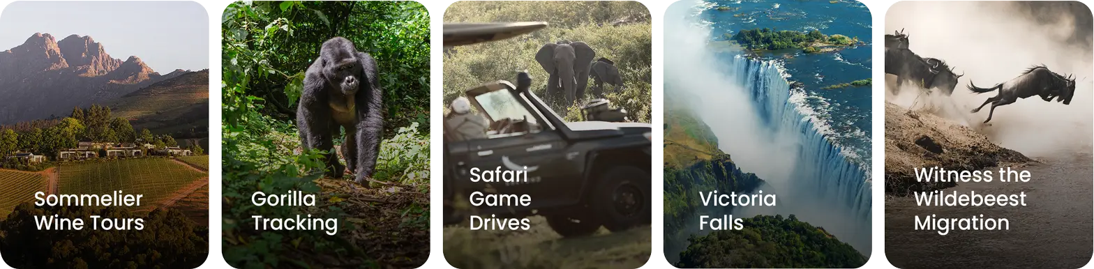 experiences-premier-africa-mobi-row-1