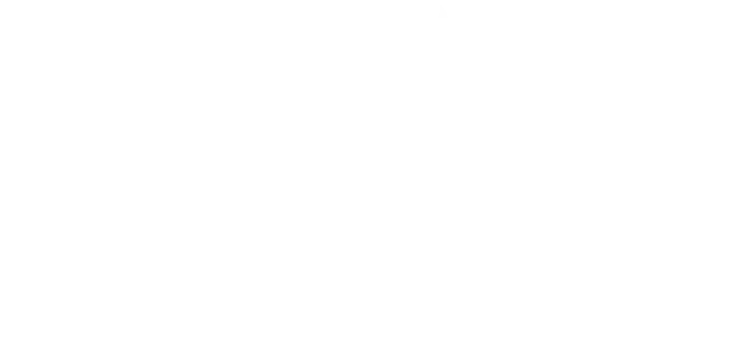 medium sized logo for premier africa