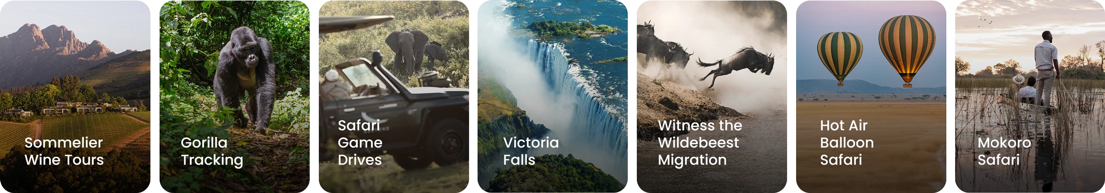 experiences-premier-africa-1