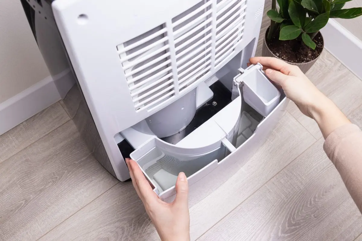 Woman removing full water tank from dehumidifier