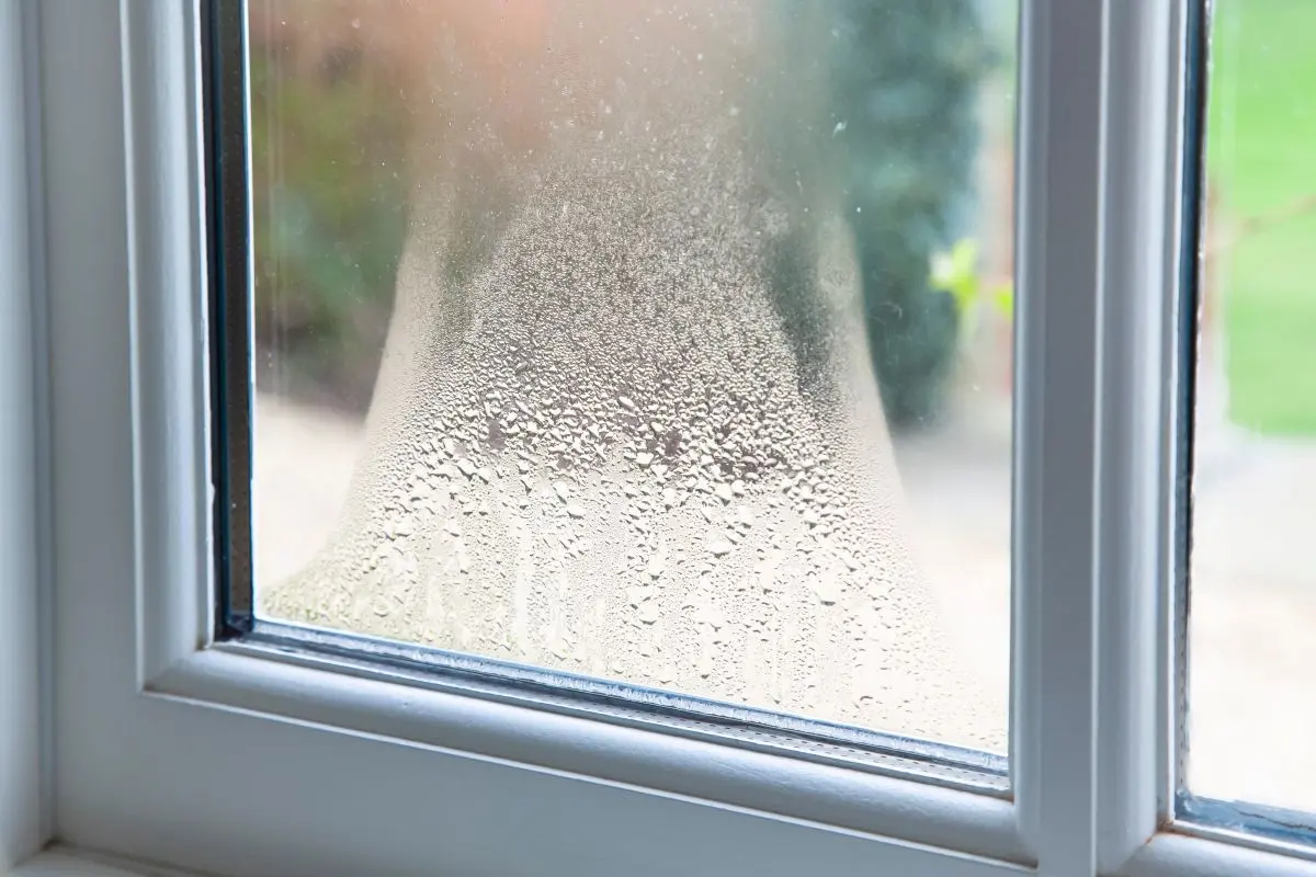 High humidity levels in a house
