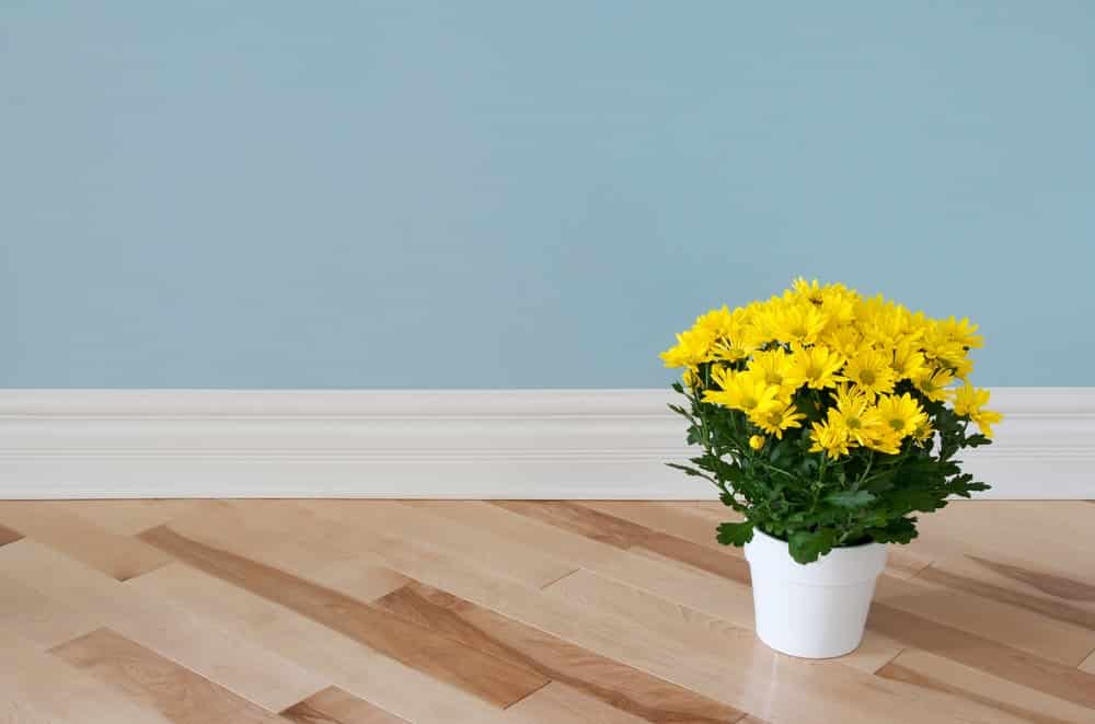 Tips for Painting Baseboards and Interior Trim