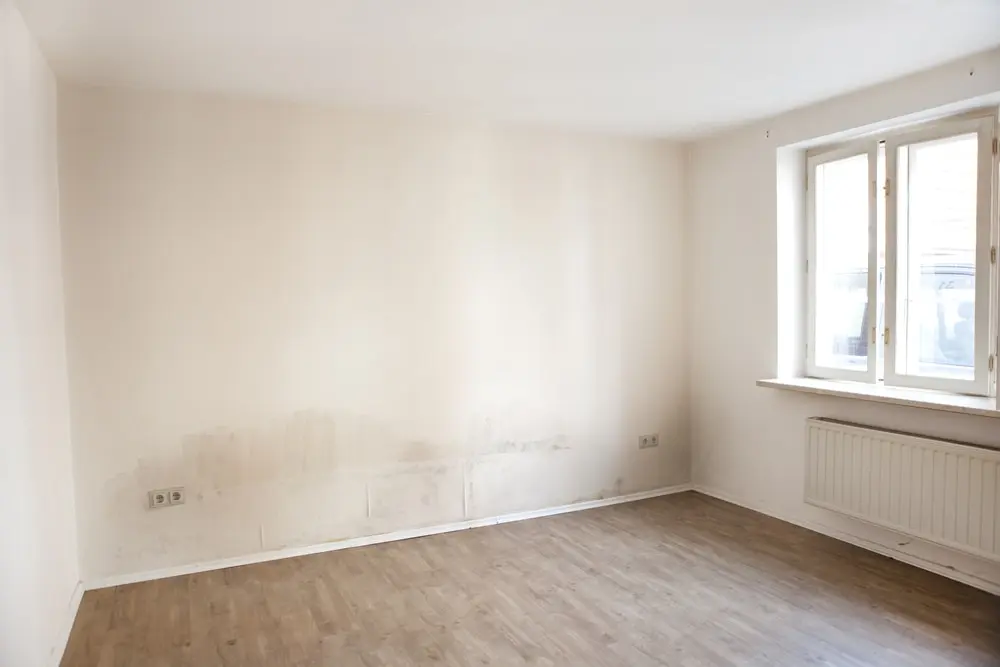 removing interior wall stains