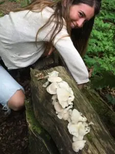 Mushroom