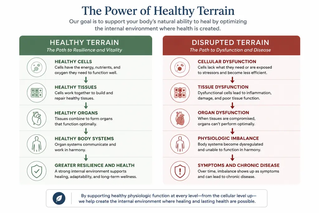 Power of Healthy Terrain