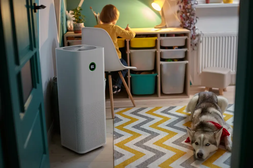 Air purifier equipment enhancing air quality