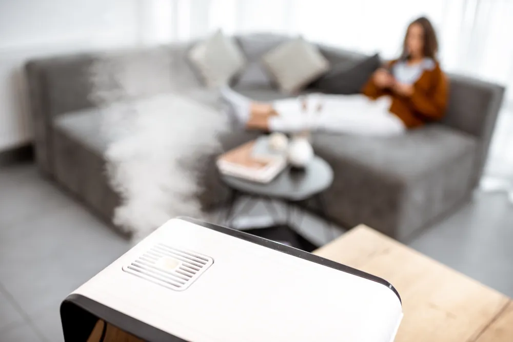 Functioning humidifier