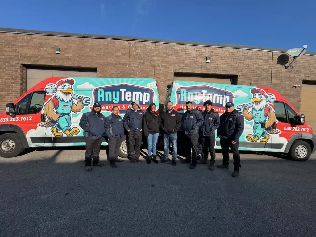 View of the Any Temp team
