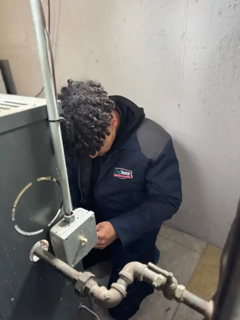 Any Temp's professional workers
