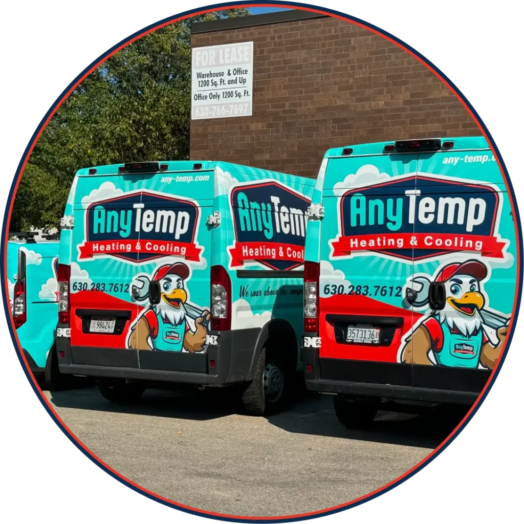 Any temp vehicles from behind