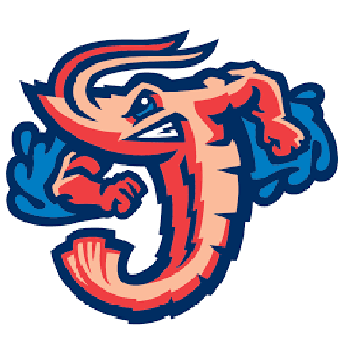Seahorse mascot logo for TrueVet Solutions.