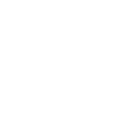 White Opening Quotation Marks for Dealership Testimonials Digital Services