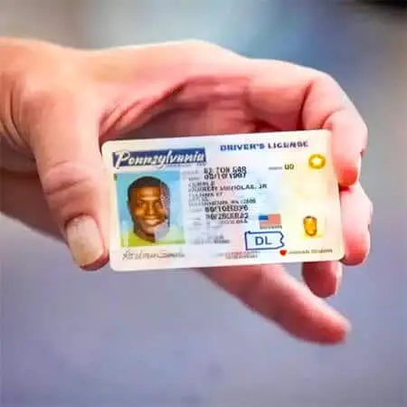Jack rabbit website module image pa drivers license