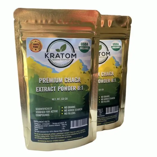 Chaga mushroom extract