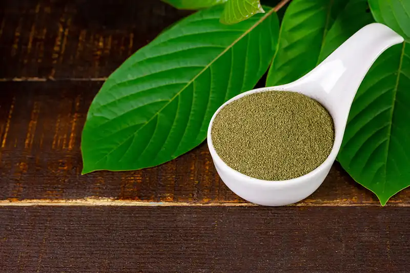 kratom taste