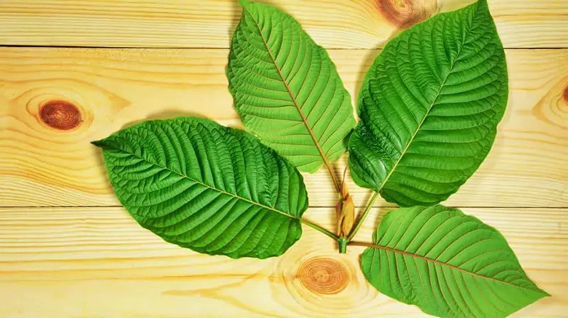 Yellow Kratom