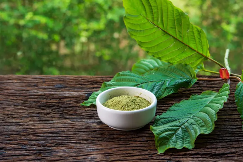 best kratom for pain