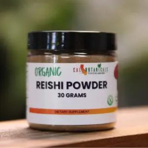 Reishi Mushroom Powder (30g)