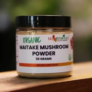 buy maitake mushrrom powder