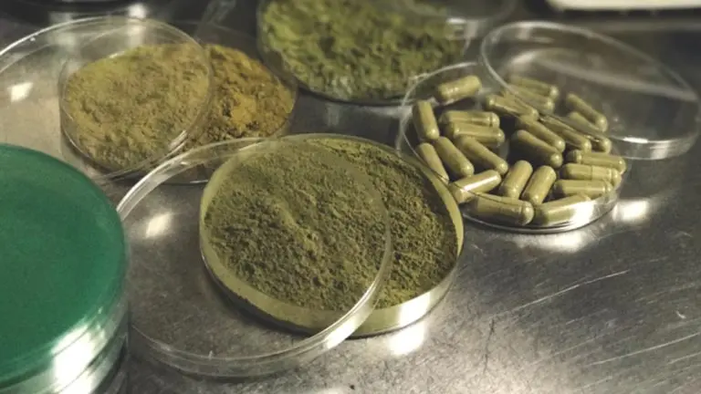 Kratom Lab Testing