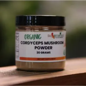 Cordyceps Mushroom Powder (30g)