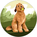 Melanie S profile picture