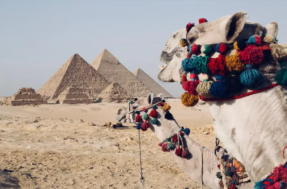Understanding the Different Types of Egyptian Visas