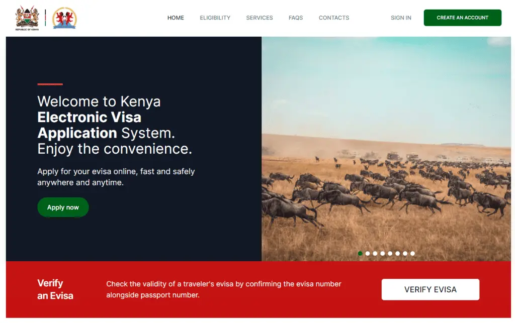 Understanding the Kenyan Immigration System and its Application Process