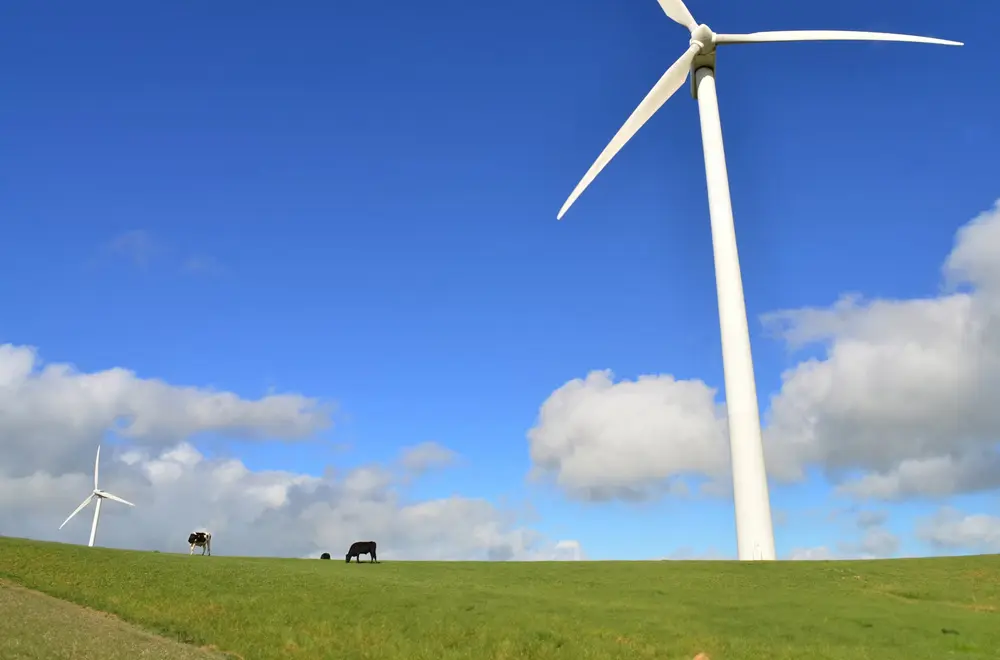 Exploring Southern Africa’s Energy & Hydrogen Opportunities