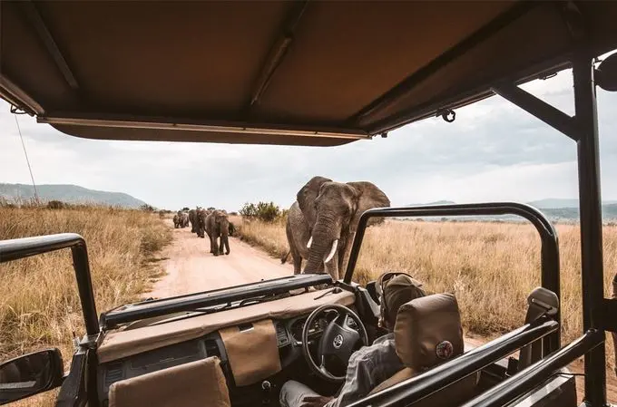 Trusted Tour Operator Scheme (TTOS) in South Africa