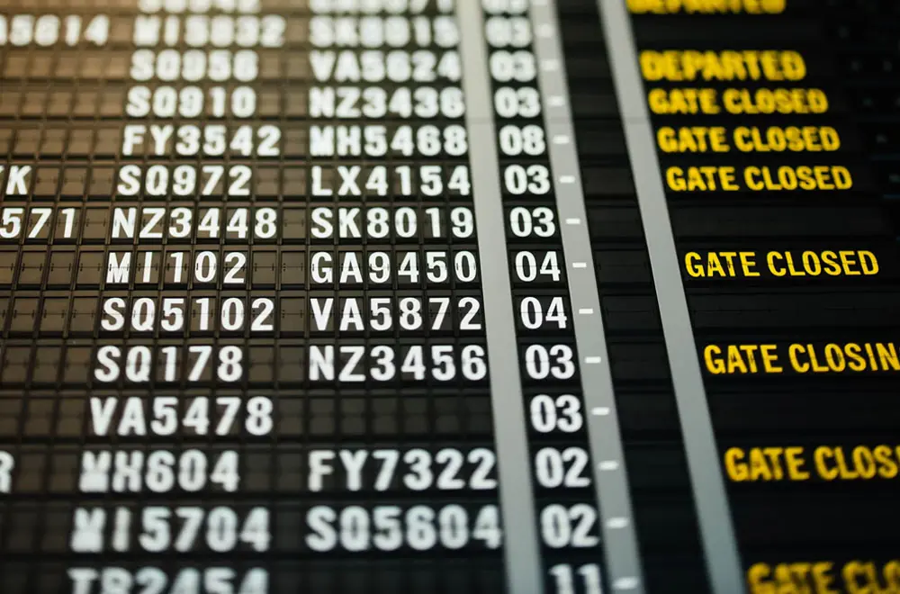 South Africa’s Visa Backlog: Rejections and Appeals