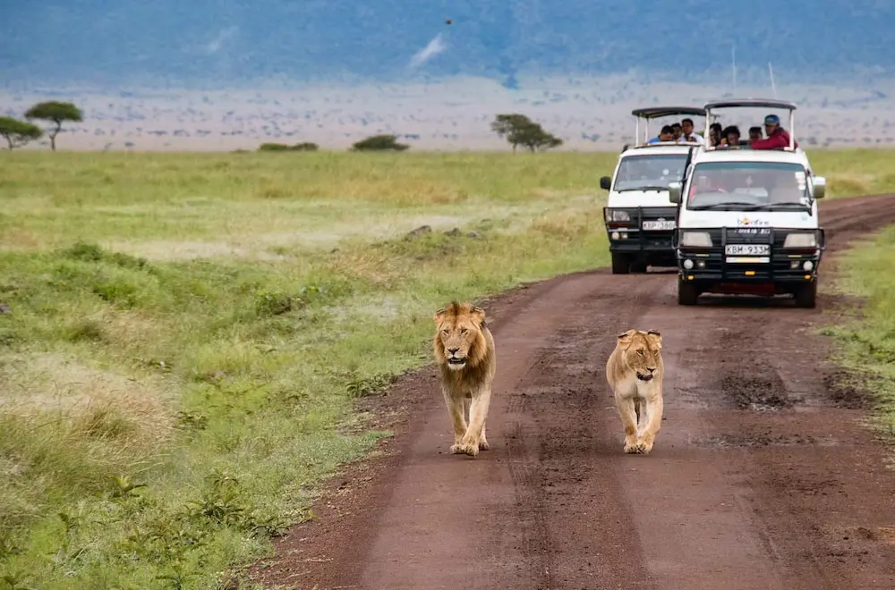 Business Investment Options in Kenya: Exploring the Diverse Investment Landscape in Kenya