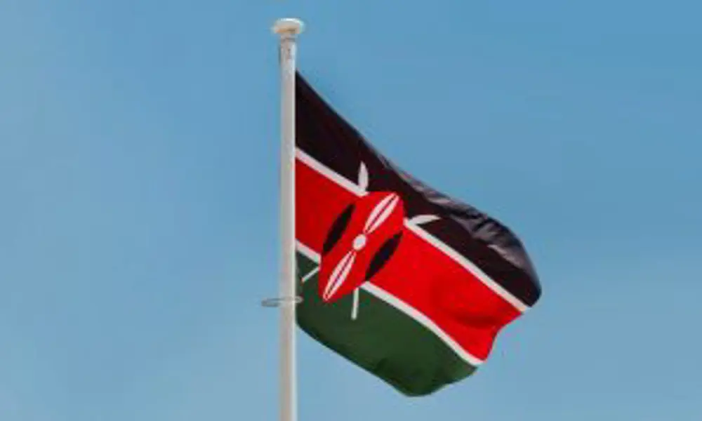 Explore Kenyan professional bodies, their role in career development and how they support work permits for foreign professionals.