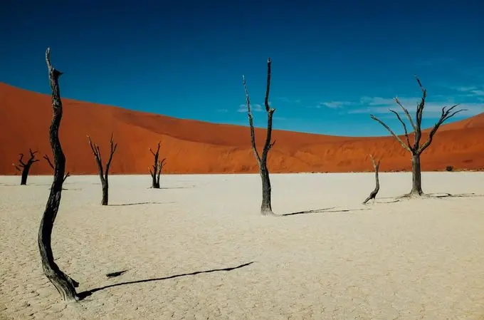 Namibia Introduces New Digital Nomad Visa