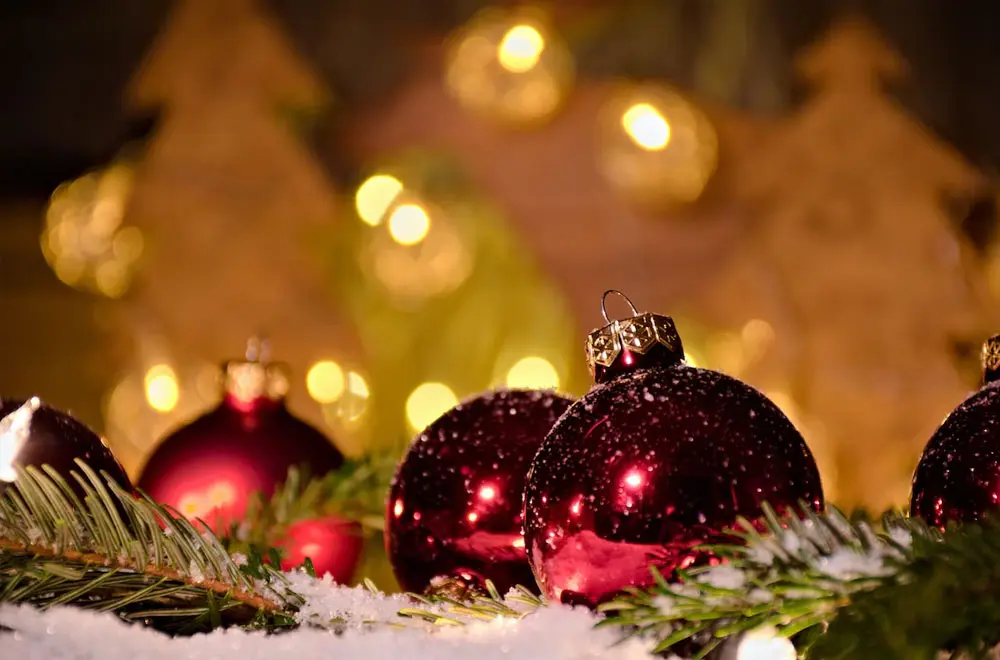 Festive greetings from IBN!
