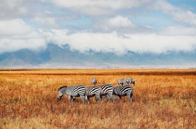 Immigration News from Africa: January/February 2024