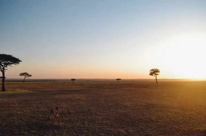 Planning Corporate Immigration into Africa? Watch Out for These Red Flags