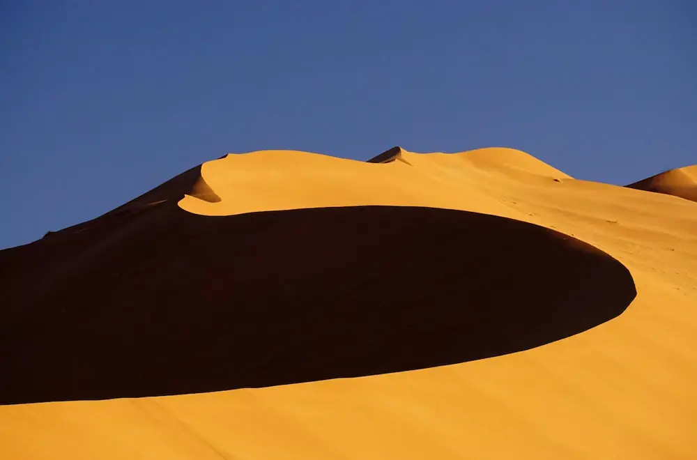 Unlocking the Benefits of Hiring Foreign Workers in Namibia: A Guide for Businesses