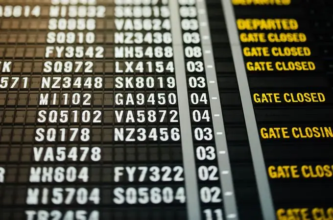 South Africa’s Visa Backlog: Rejections and Appeals