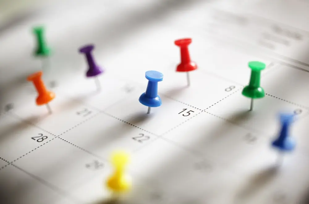 Processing Times for South African Visas Published