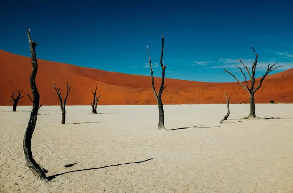 Namibia Introduces New Digital Nomad Visa