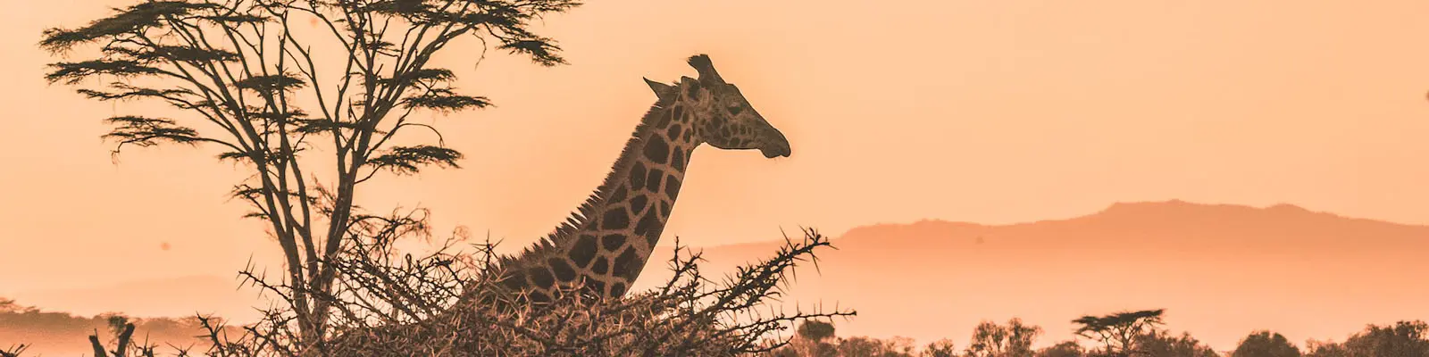 Zambia Immigration and Visas