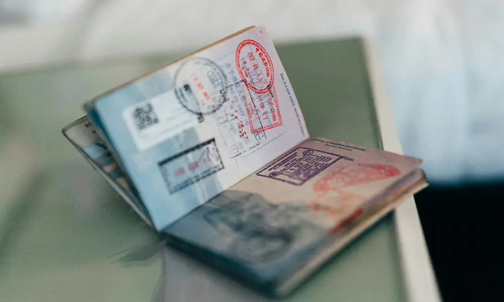 Visa Backlogs and Digital Reform