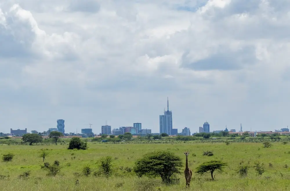 Investment Opportunities in Kenya for Foreign Investors