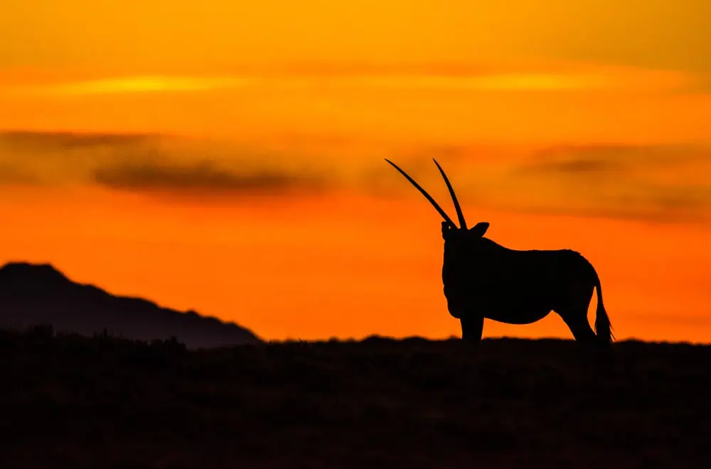 Tips for a Successful Namibian Long-Term Work Permit Application