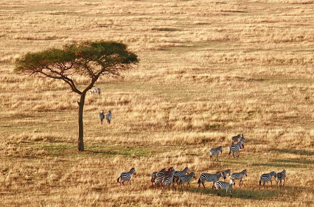 Immigration News from Africa: August/September 2023
