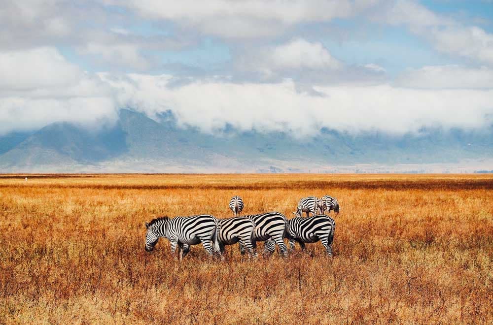 Immigration News from Africa Jan Feb 2024
