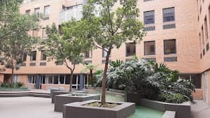 IBN Immigration Solutions - JHB place picture