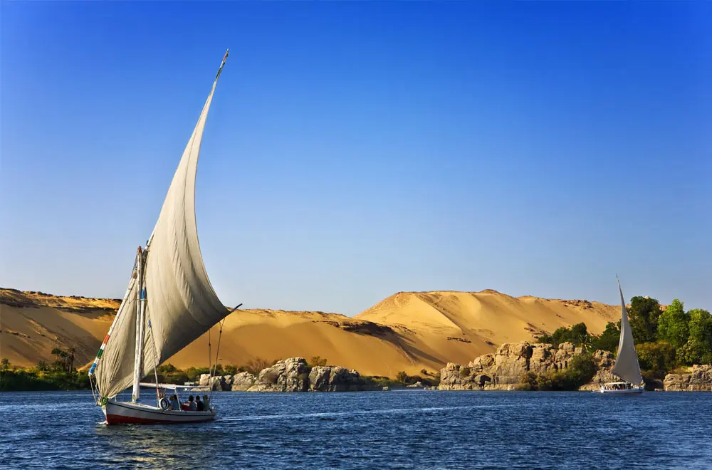 Essential Tips for Renewing Your Egyptian Work Permit